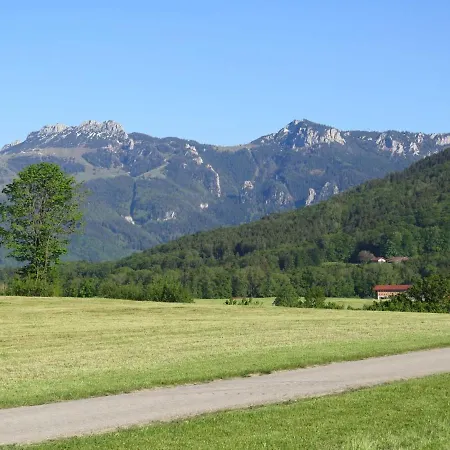 Riesenblick Apartament